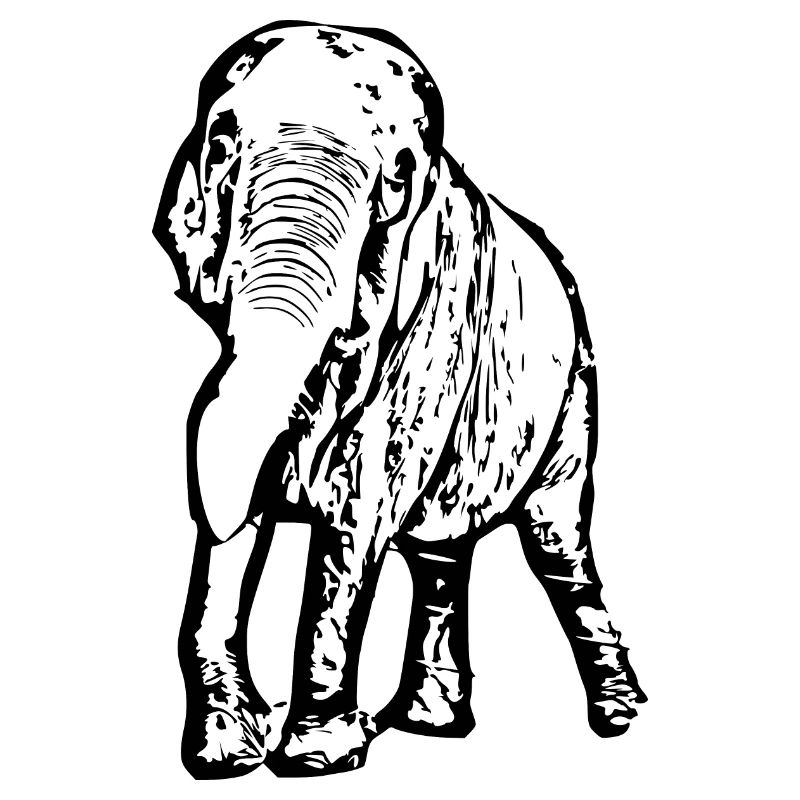 Elephant black