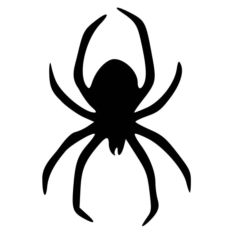 spider