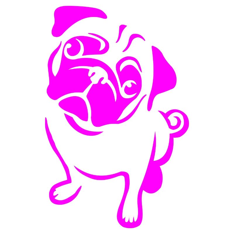 Pug in pink