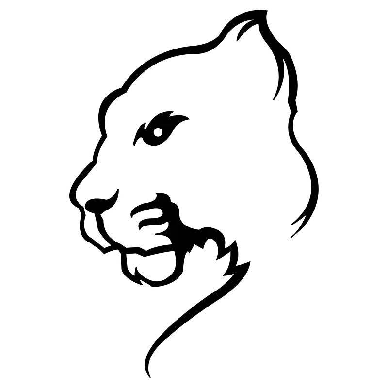 panther_01