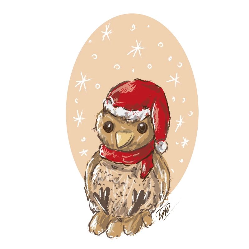Weihnachtsvogel Spatz