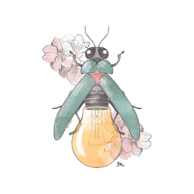 Pear | Flowering | Beetles