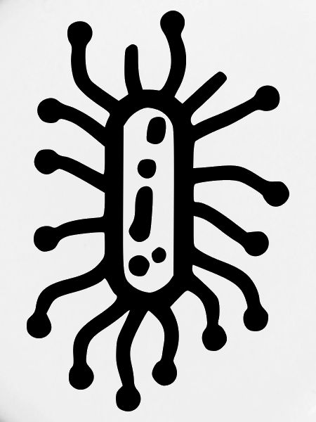Bacteria