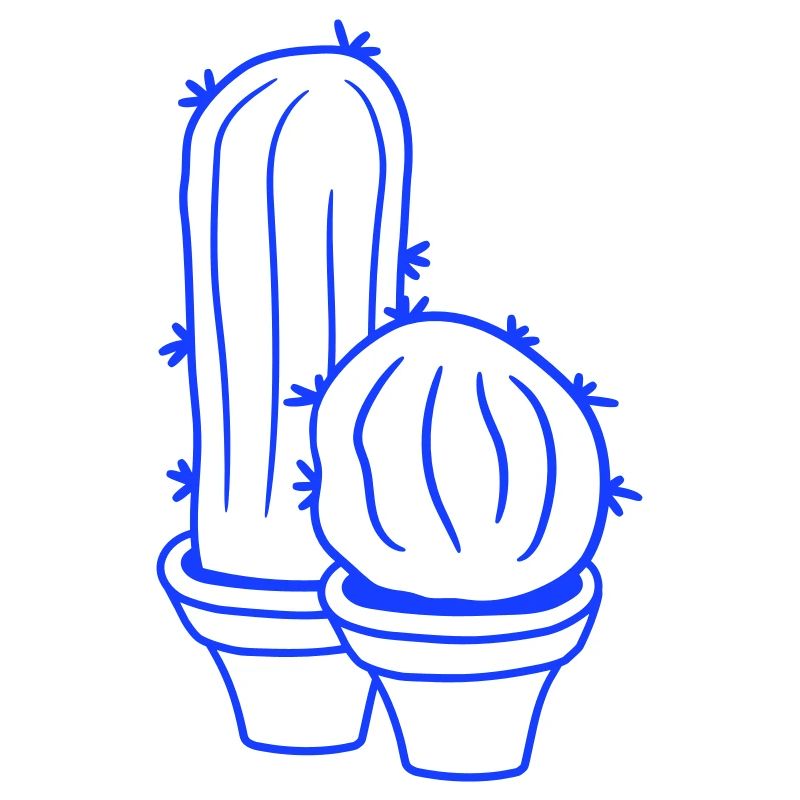2 petits Cactus Cactus Épines Desert Pot de Fleurs