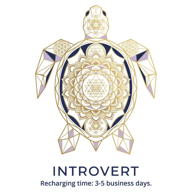 Geometric Turtle Mandala Introvert