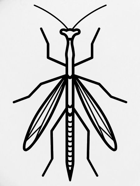 Stick-Insekt