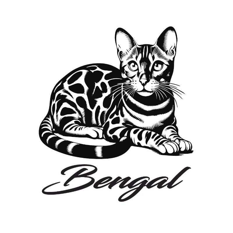 Conception de chat Bengal - sauvage, belle et unique