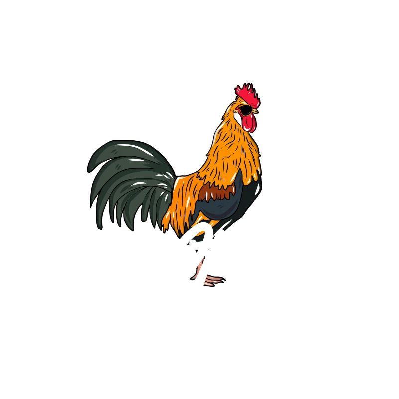 Chickens Gorgeous Guy Chicken Keeper Gift
