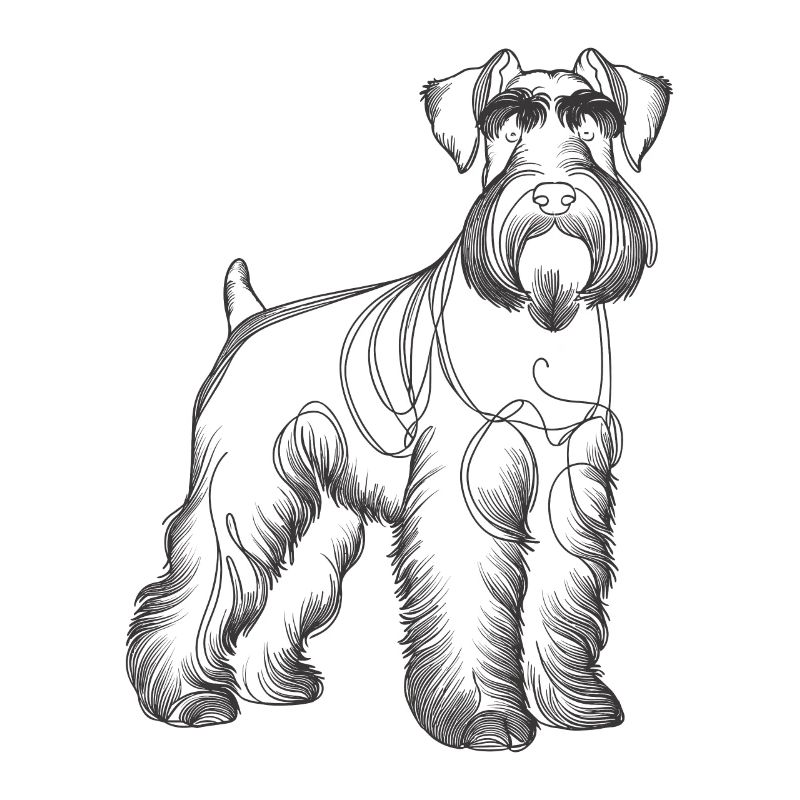 Dessin au trait Schnauzer géant Schnauzers