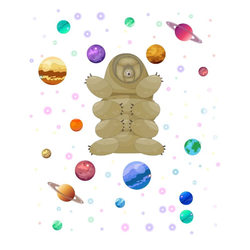 Des tardigrades dans l’espace ! Nerd, Geek Science