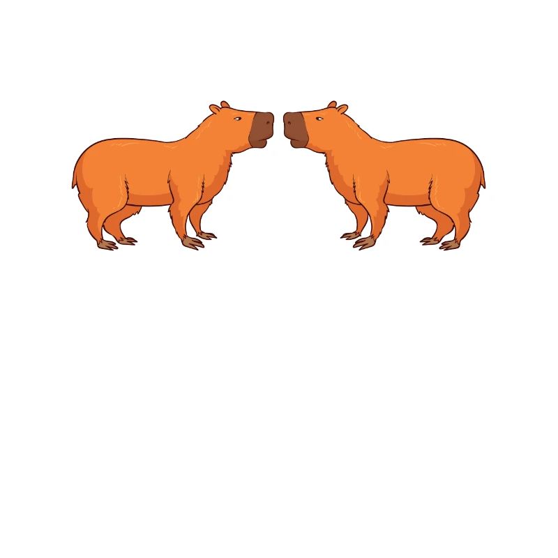 Programmierer Wombat Software Computer PC