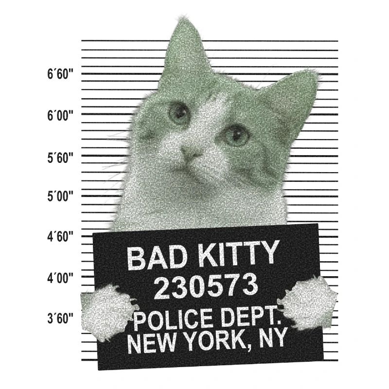 Mauvais chat