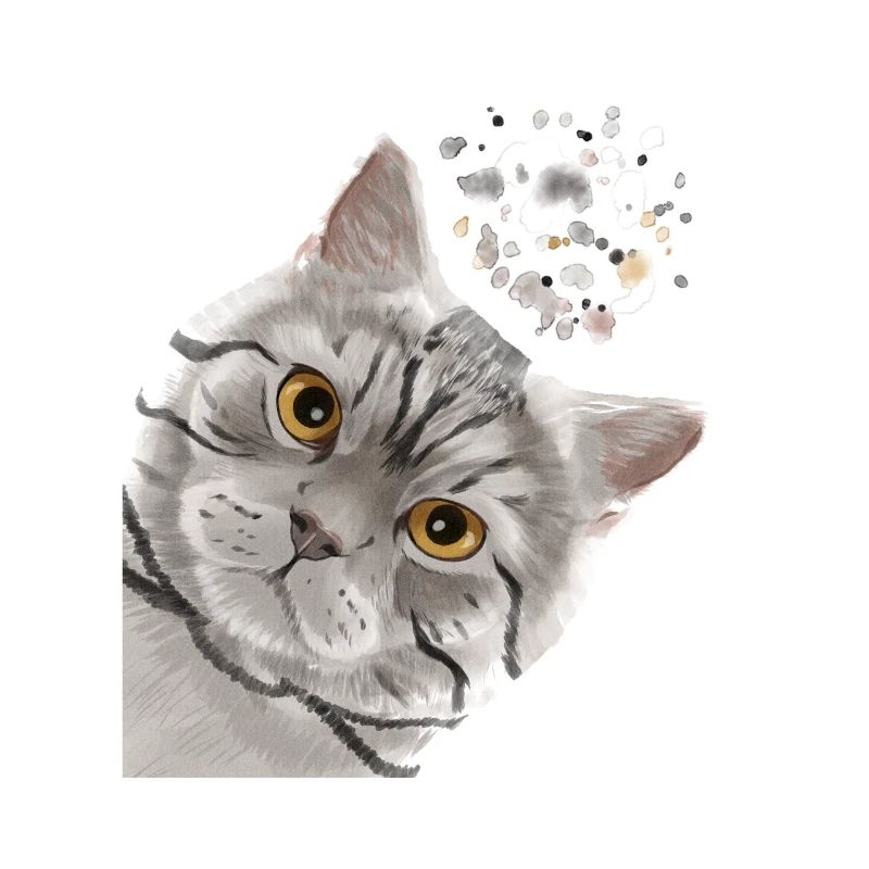 Neugierige Tabby Britisch Kurzhaar Katze