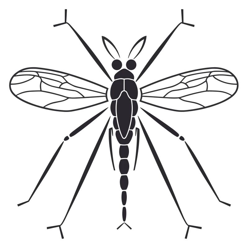 Mosquito