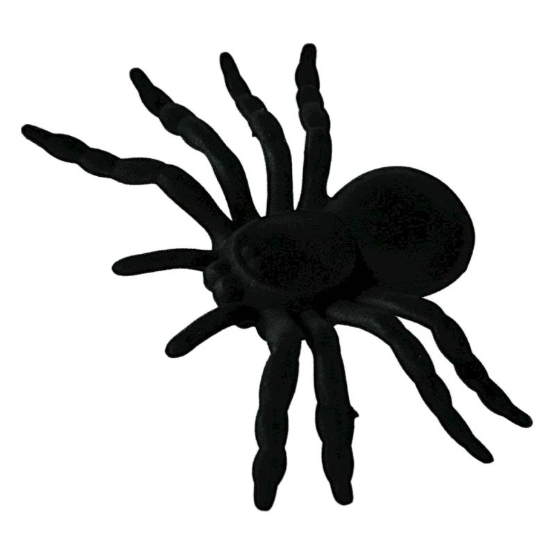 Spider Web, Spider Web, Spider Phobia, Disgusting Gift