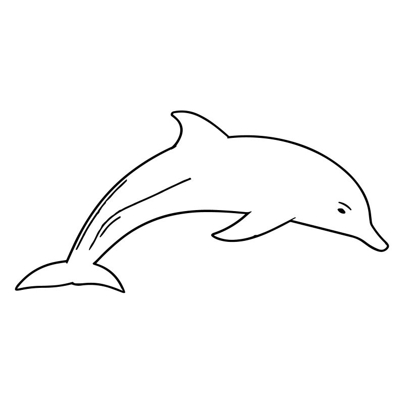 Dolphin