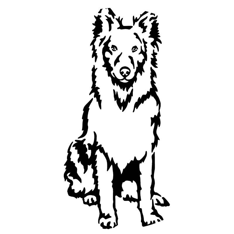 Holländischer Schäferhund