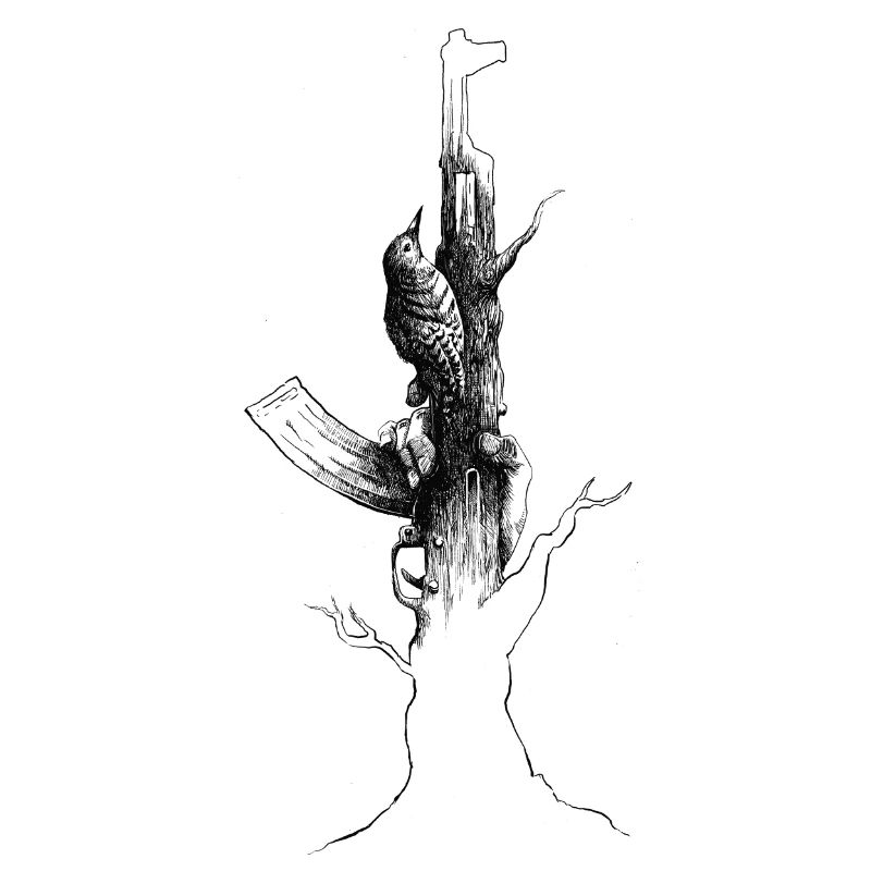 Ak47 Specht