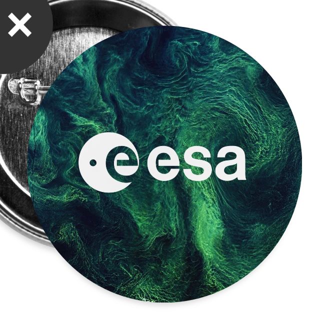 Earth from Space - Baltic blooms