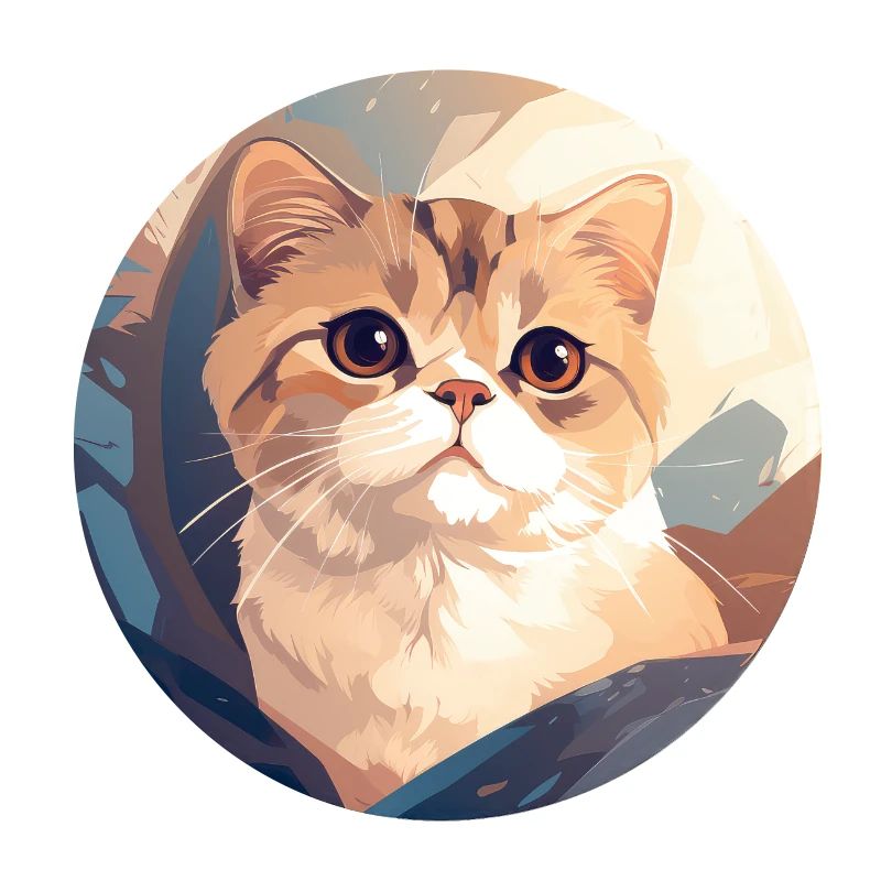 Scottish fold-eared cat