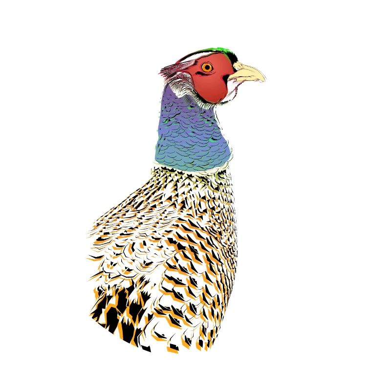 Phenominal Pheasant