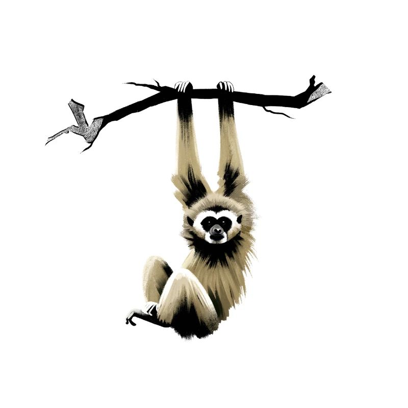 Gibbon