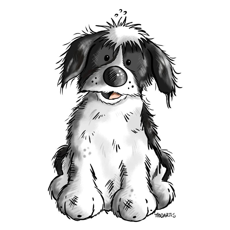 Cute Havanese
