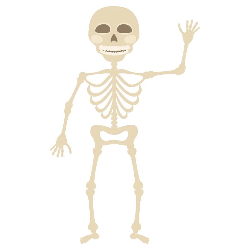 skeleton