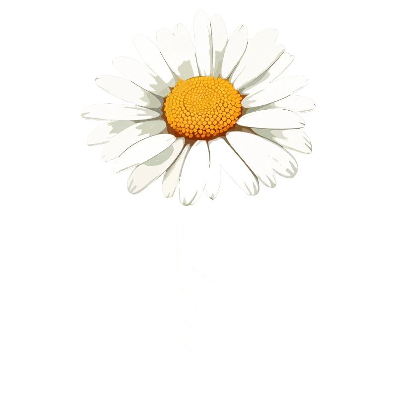 Daisy Flower with Love Script