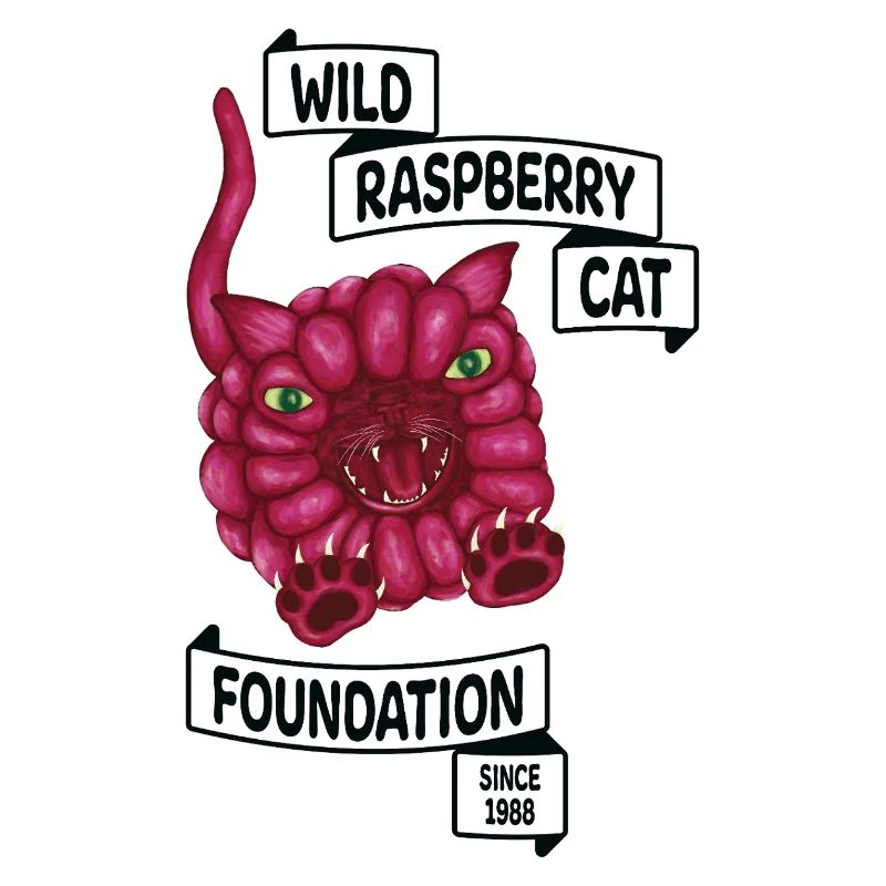 Raspberry le chat