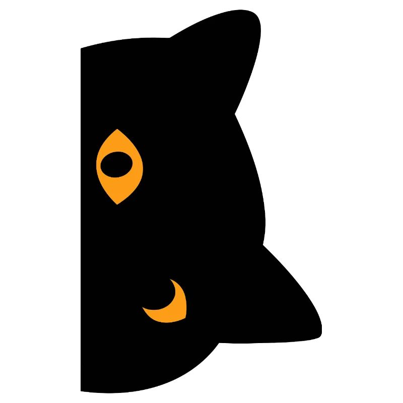 Chat noir