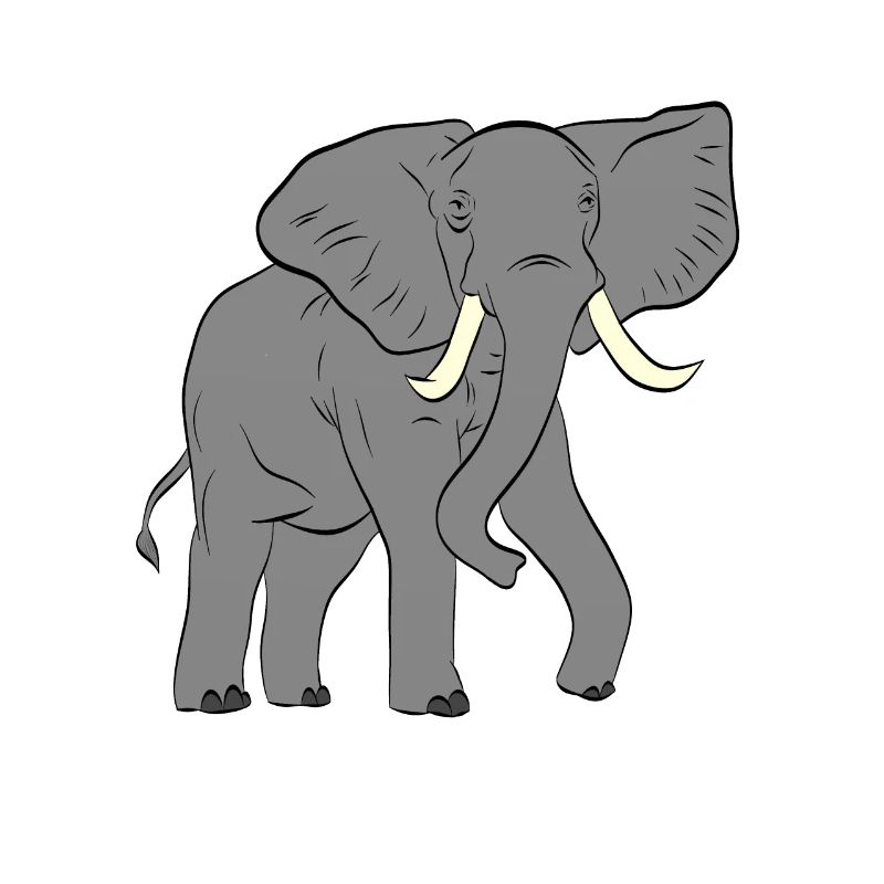 Éléphant - éléphant