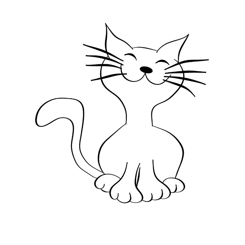 cat