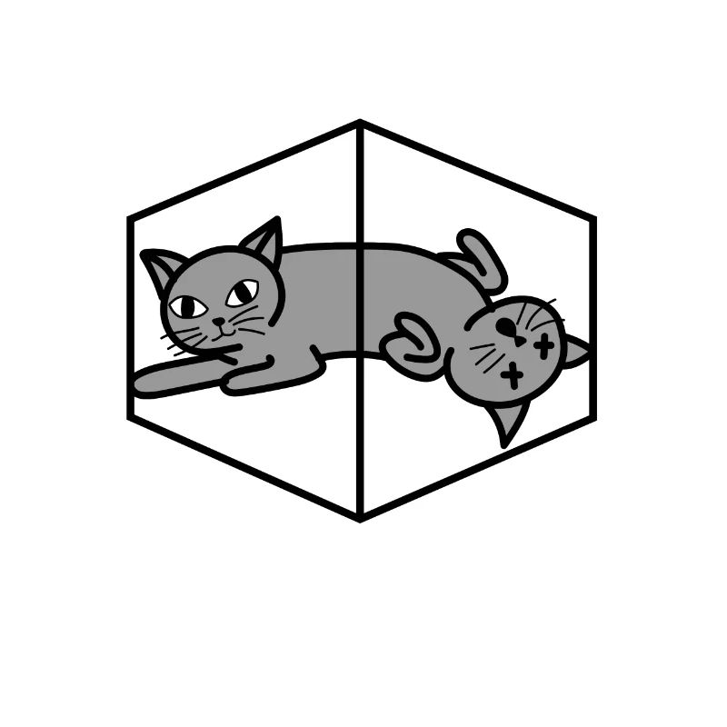 Le chat de Schrödinger