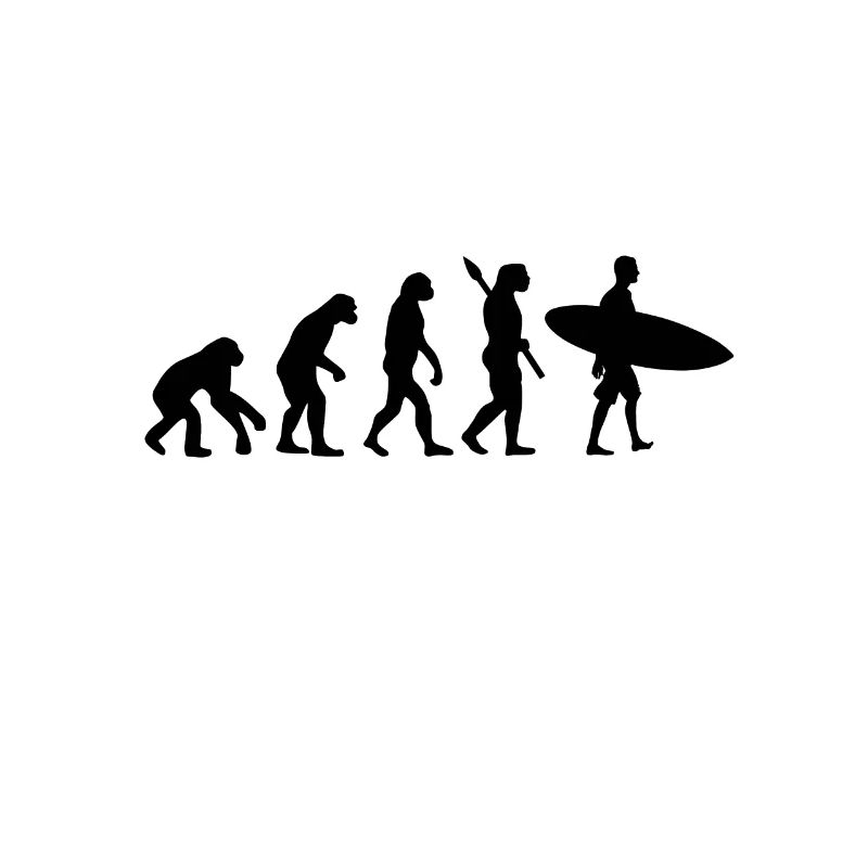 Evolution Surfer Wellenreiten Surfbrett Welle Surf