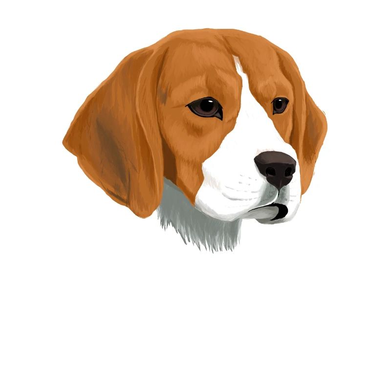 Beagle Dog