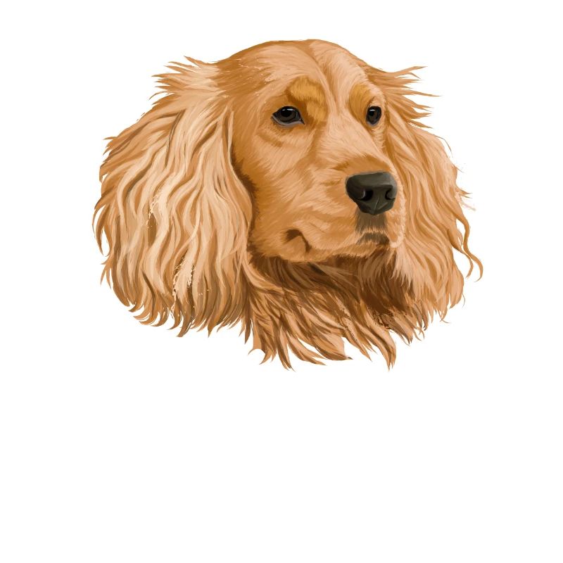 Cocker Spaniel
