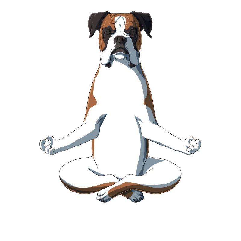 Yoga Boxer Dog
