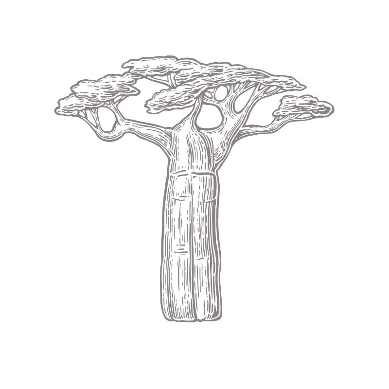Baobab Bäume Liebhaber Geschenk Afrika Grafik