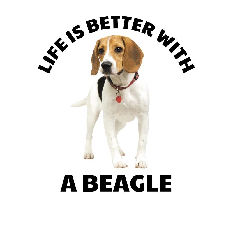 Mit einem Beagle ist das Leben besser