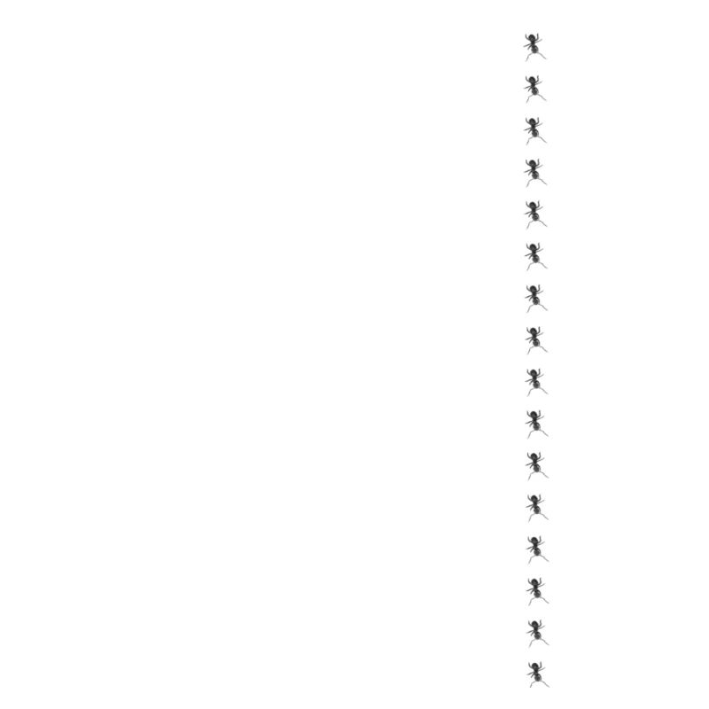 Fourmi minimalisme conception simple fourmi