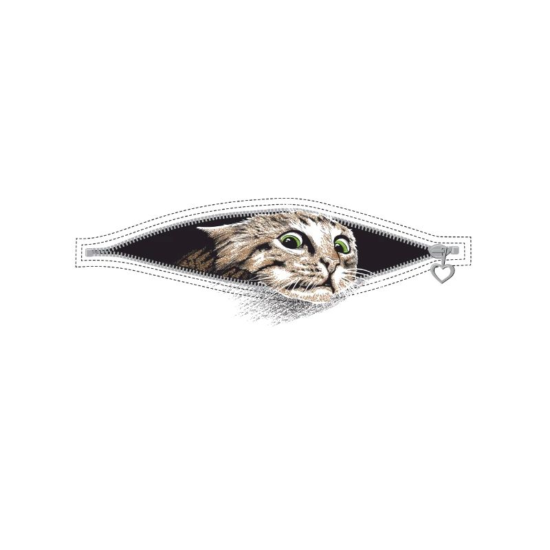 Katze Katzen