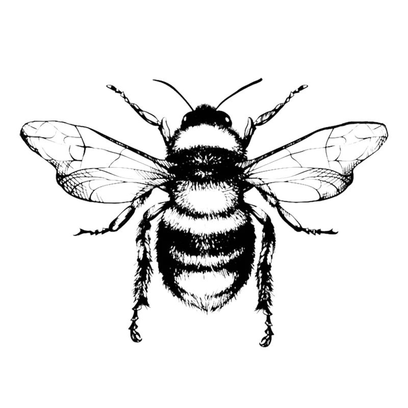 Biene