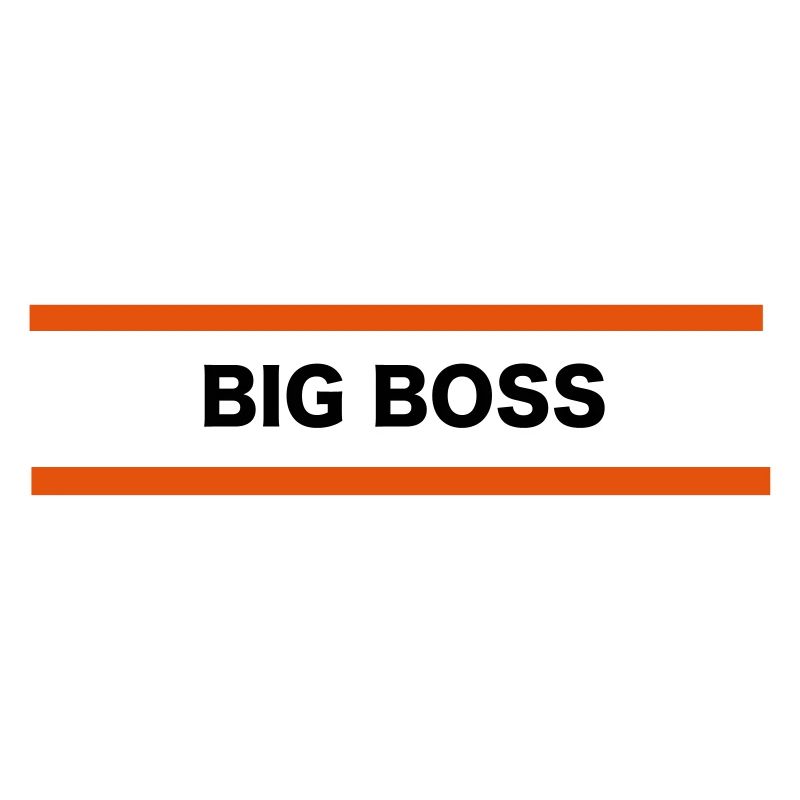 Big Boss