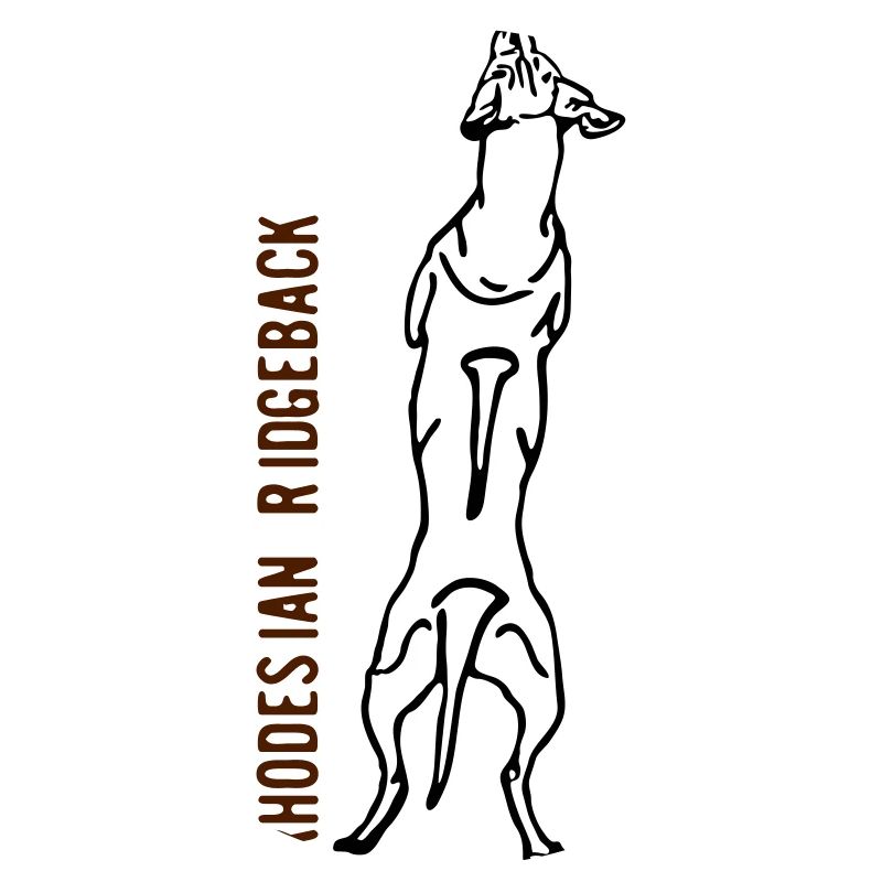 Rhodesian Ridgeback back
