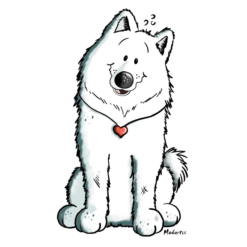 Samoyed with heart