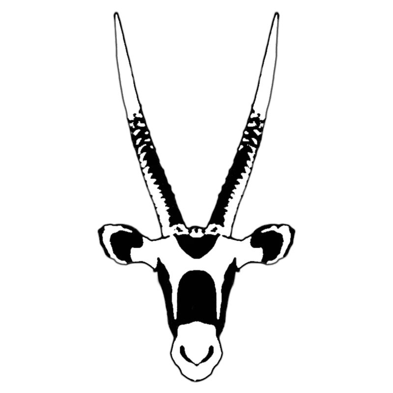 Oryx antelope