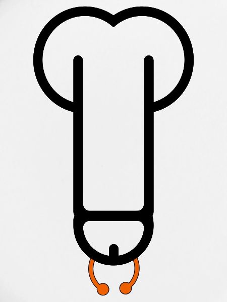 pierceddick1