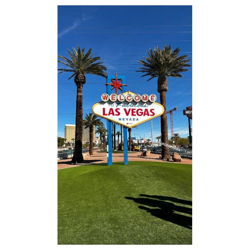 0D8A0890 77EC 4DA6 BCE8 505C66E6281D