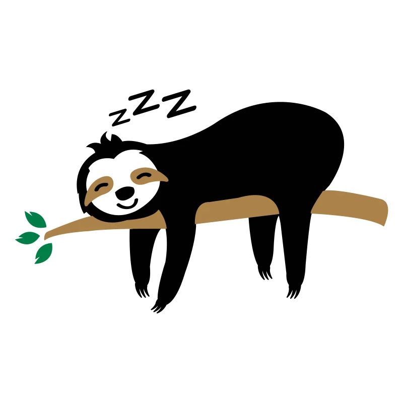 sloth sleep